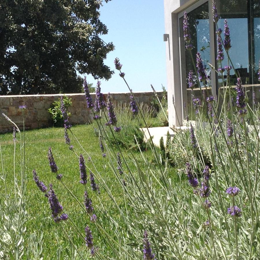 Lidea Boutique Hotel Potamos  Exteriér fotografie